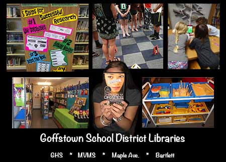 GSD libraries